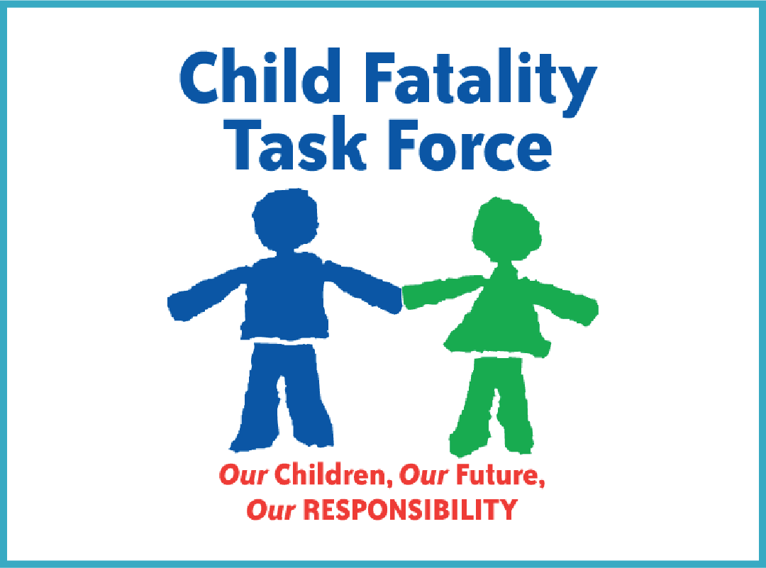 Child Fatality Prevention Team 