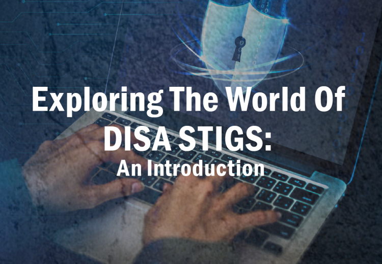 Exploring the World of DISA STIGS