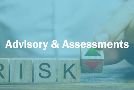 Advisory & Assessments